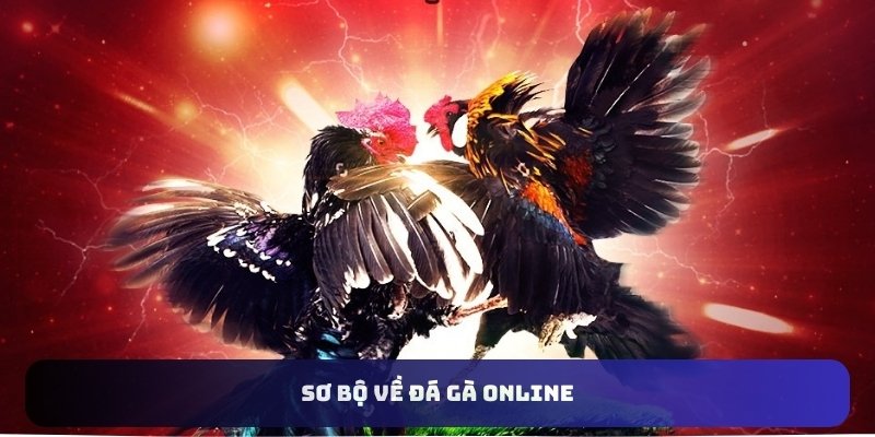 Cá cược kiếm thưởng hiệu quả tại nền tảng chọi gà uy tín